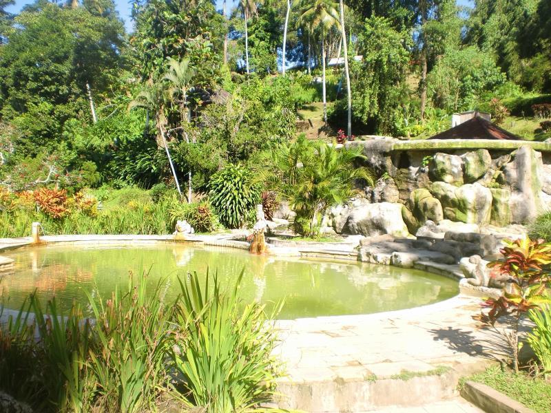 Hôtel Yeh Panes Bali à Selemadeg Extérieur photo